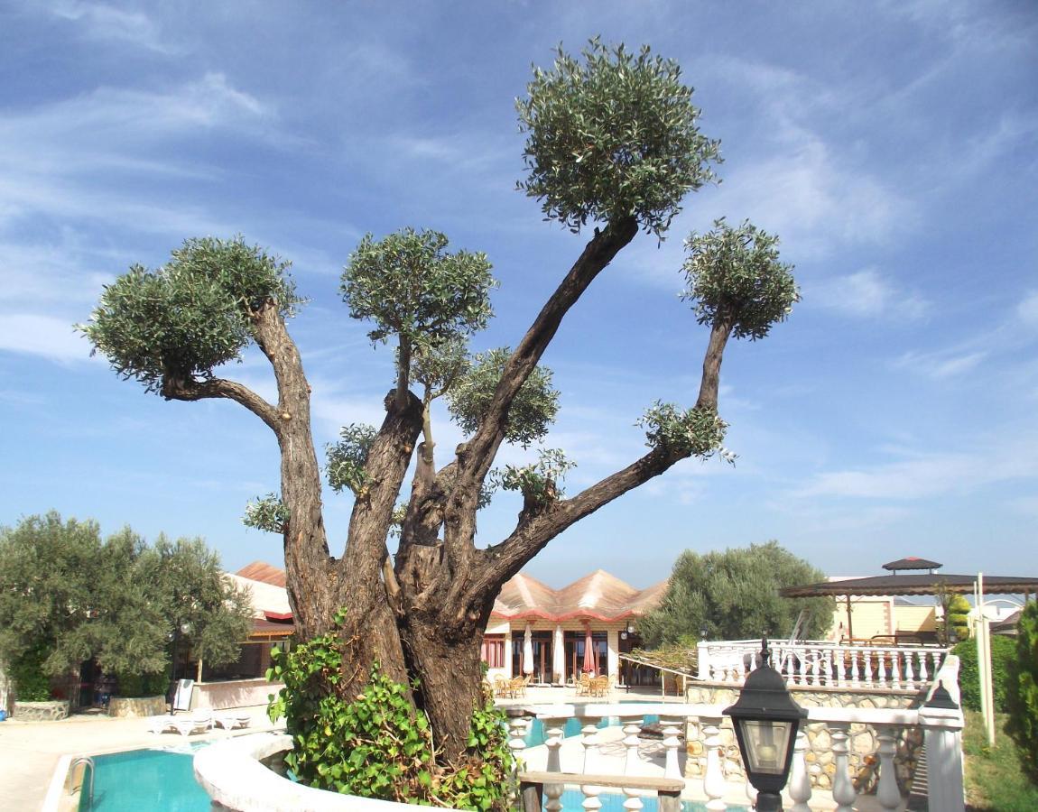 Alize Resort Hotel Yenifoca ภายนอก รูปภาพ